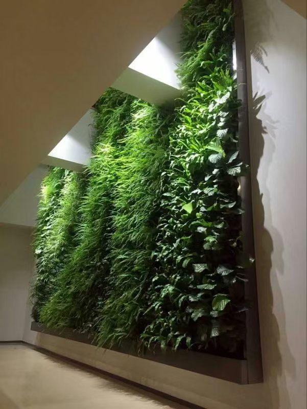 无锡植物背景墙 工厂批发与景观设计的完美融合